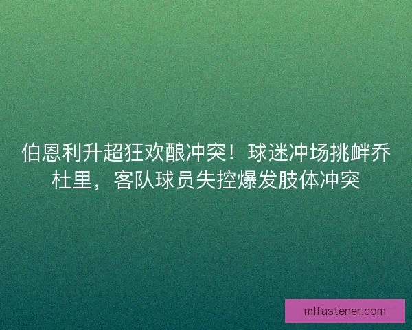 伯恩利升超狂欢酿冲突！球迷冲场挑衅乔杜里，客队球员失控爆发肢体冲突