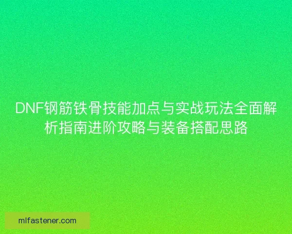 DNF钢筋铁骨技能加点与实战玩法全面解析指南进阶攻略与装备搭配思路