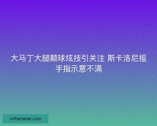 大马丁大腿颠球炫技引关注 斯卡洛尼摇手指示意不满