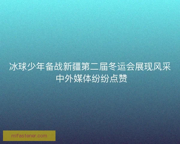 冰球少年备战新疆第二届冬运会展现风采 中外媒体纷纷点赞 冰球少年备战新疆第二届冬运会展现风采 中外媒体纷纷点赞